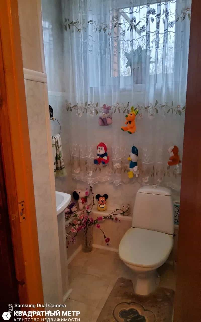 Беларусь, Могилёвская область, Осиповичский район, агрогородок Свислочь, улица Клименко, 79, фото 22