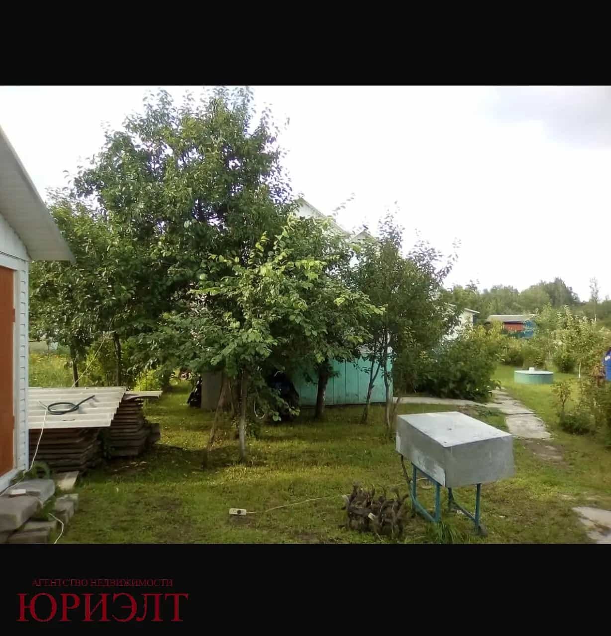 Беларусь, Витебская область, Городокский район, Вировлянский сельсовет, деревня Холомерье, Восточная улица, 6, фото 11