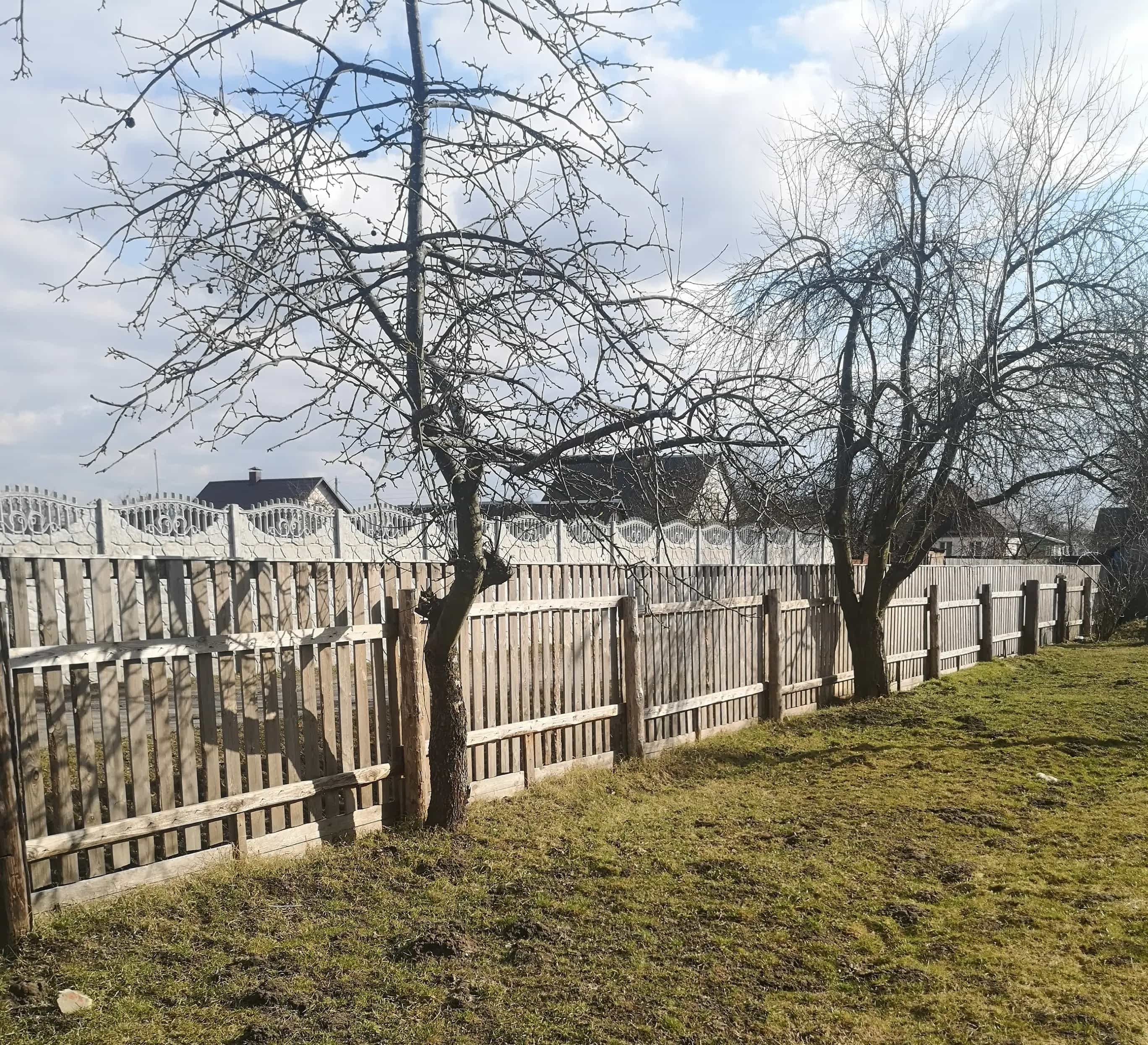 Беларусь, Гомельская область, городской посёлок Лельчицы, улица Титова, 24, фото 2