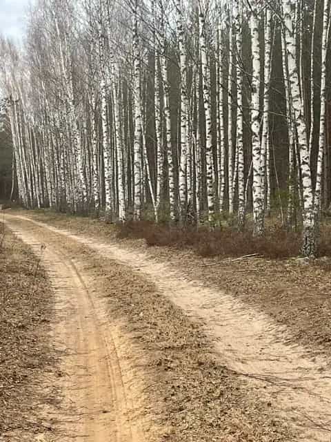 Беларусь, Гродненская область, Островецкий район, Рытанский сельсовет, хутор Клеватишки, 1, фото 3