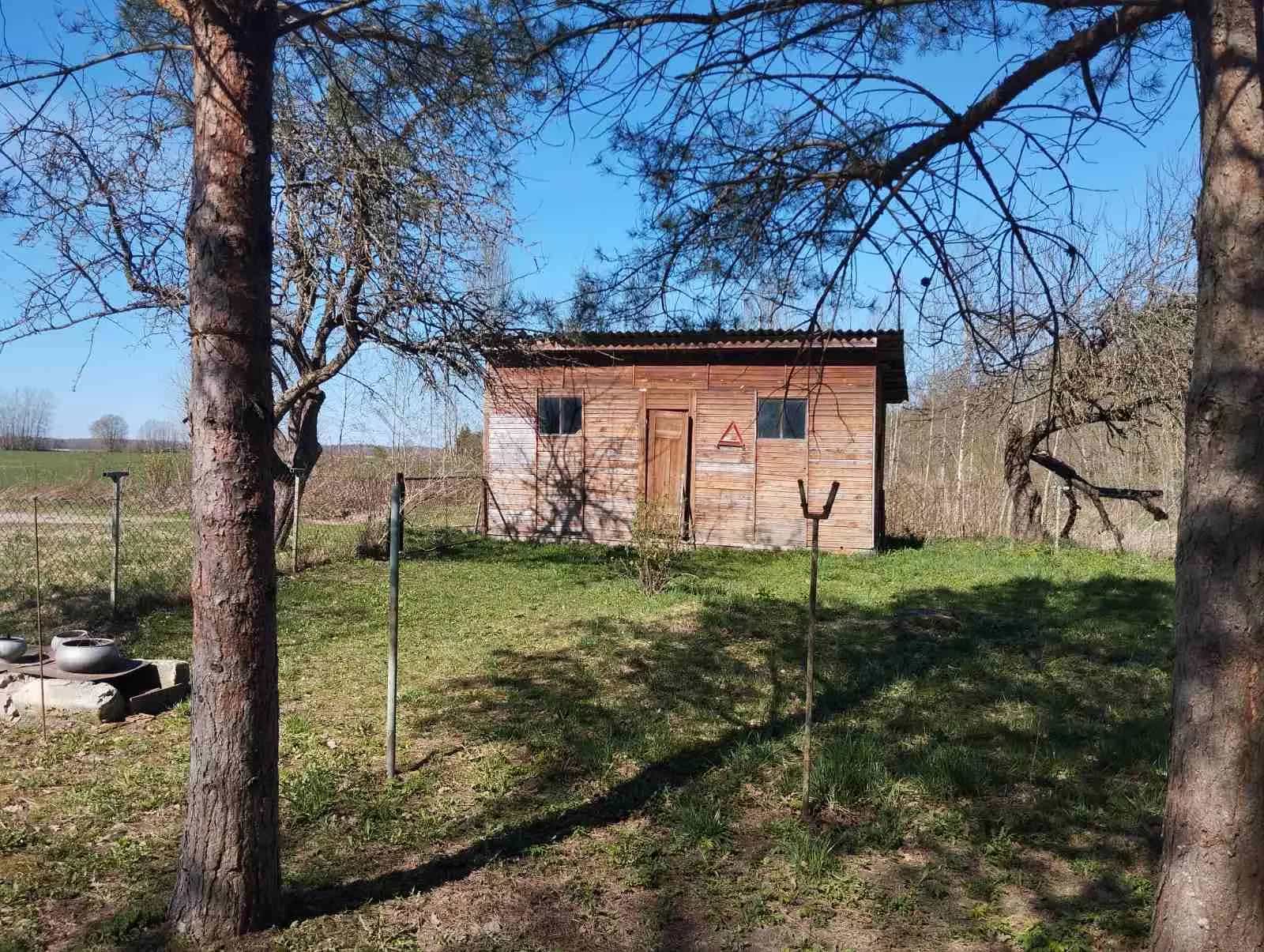 Беларусь, Витебская область, Миорский сельсовет, деревня Новое Село, 14, фото 4