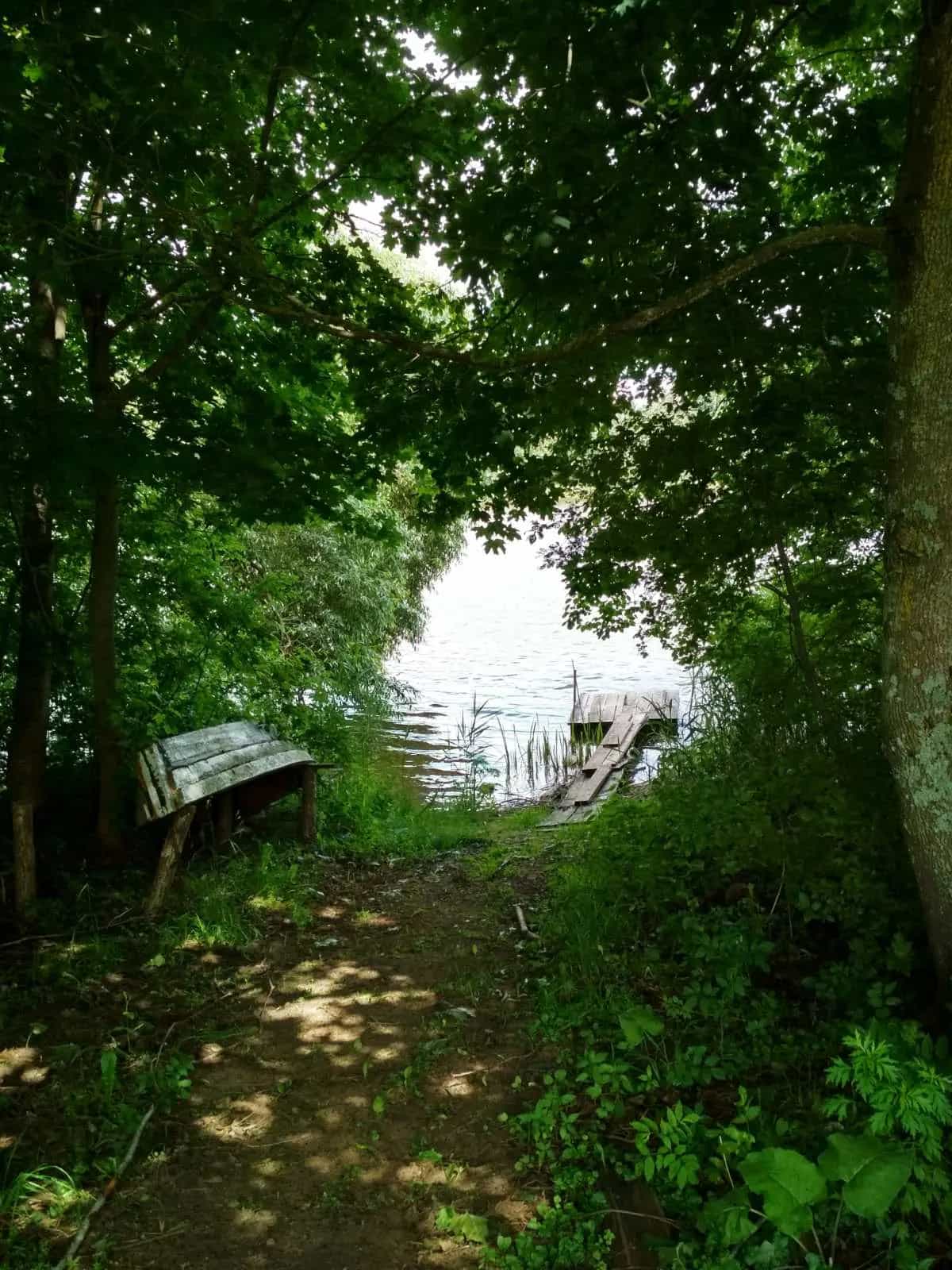 Беларусь, Витебская область, Миорский сельсовет, деревня Новое Село, 14, фото 13