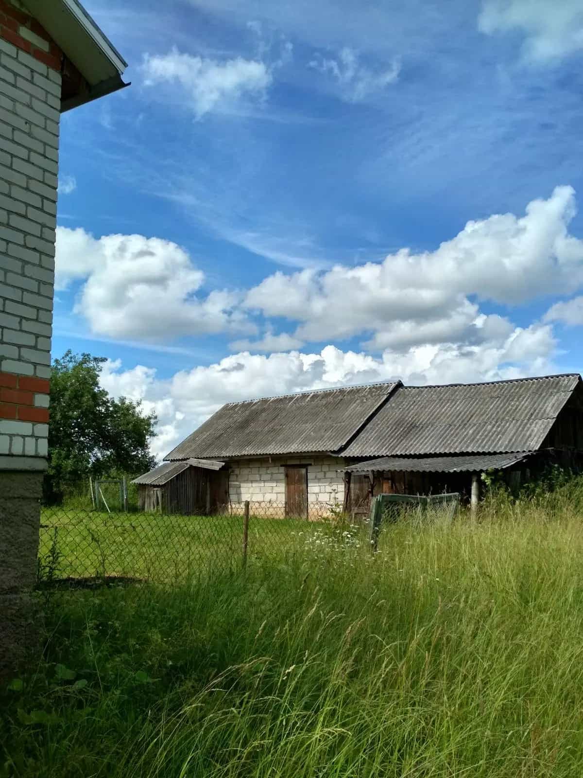 Беларусь, Витебская область, Миорский сельсовет, деревня Новое Село, 14, фото 14