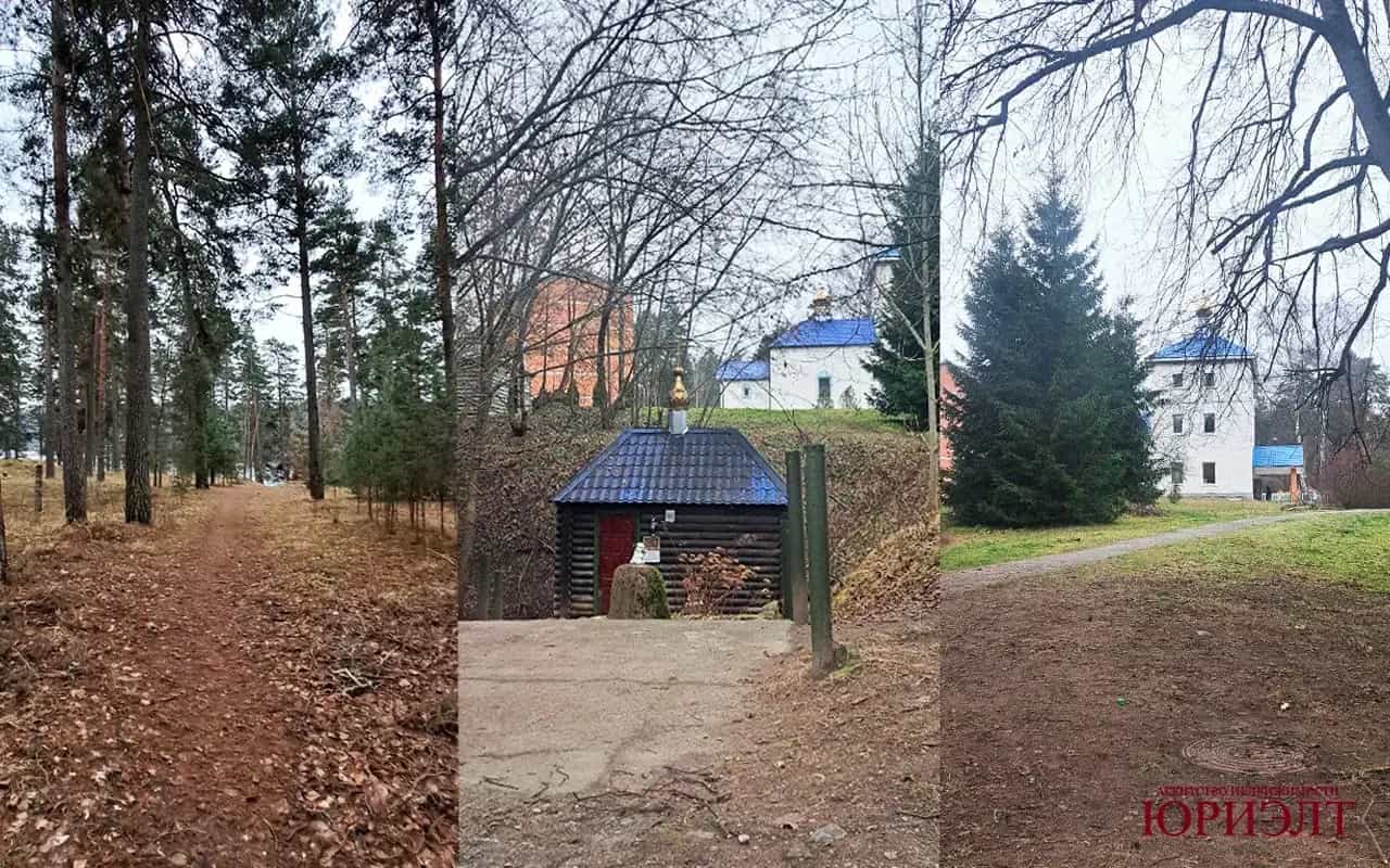Беларусь, Витебская область, Лепельский район, Боровский сельсовет, деревня Боровка, 18, фото 8