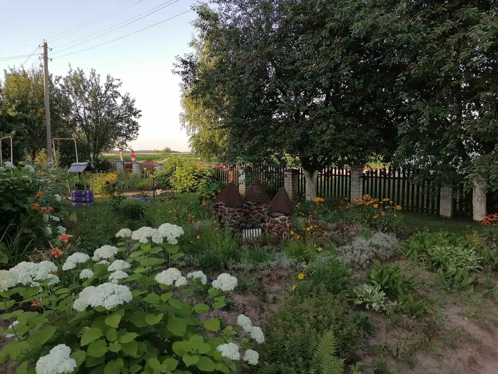 Беларусь, Гродненская область, Щучинский сельсовет, деревня Скоржики, Молодёжная улица, 2, фото 3