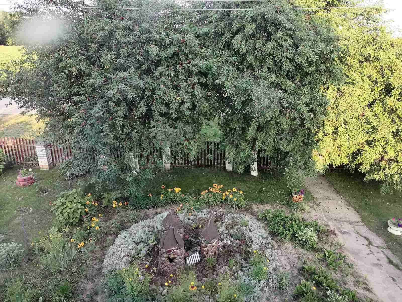 Беларусь, Гродненская область, Щучинский сельсовет, деревня Скоржики, Молодёжная улица, 2, фото 15