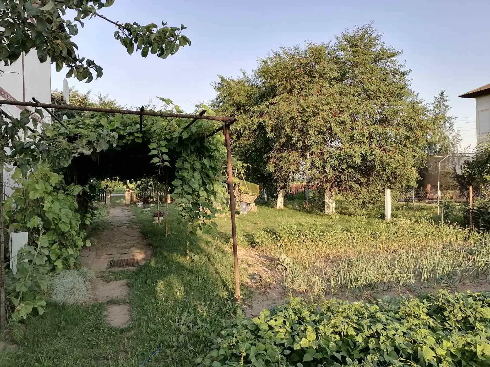 Беларусь, Гродненская область, Щучинский сельсовет, деревня Скоржики, Молодёжная улица, 2, фото 17