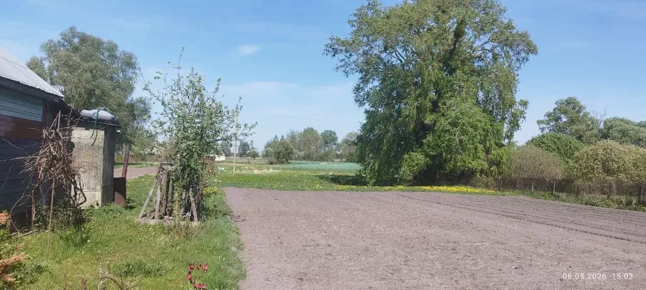 Беларусь, Брестская область, Лунинецкий район, деревня Лахва, Рыбхозная улица, 16, фото 10