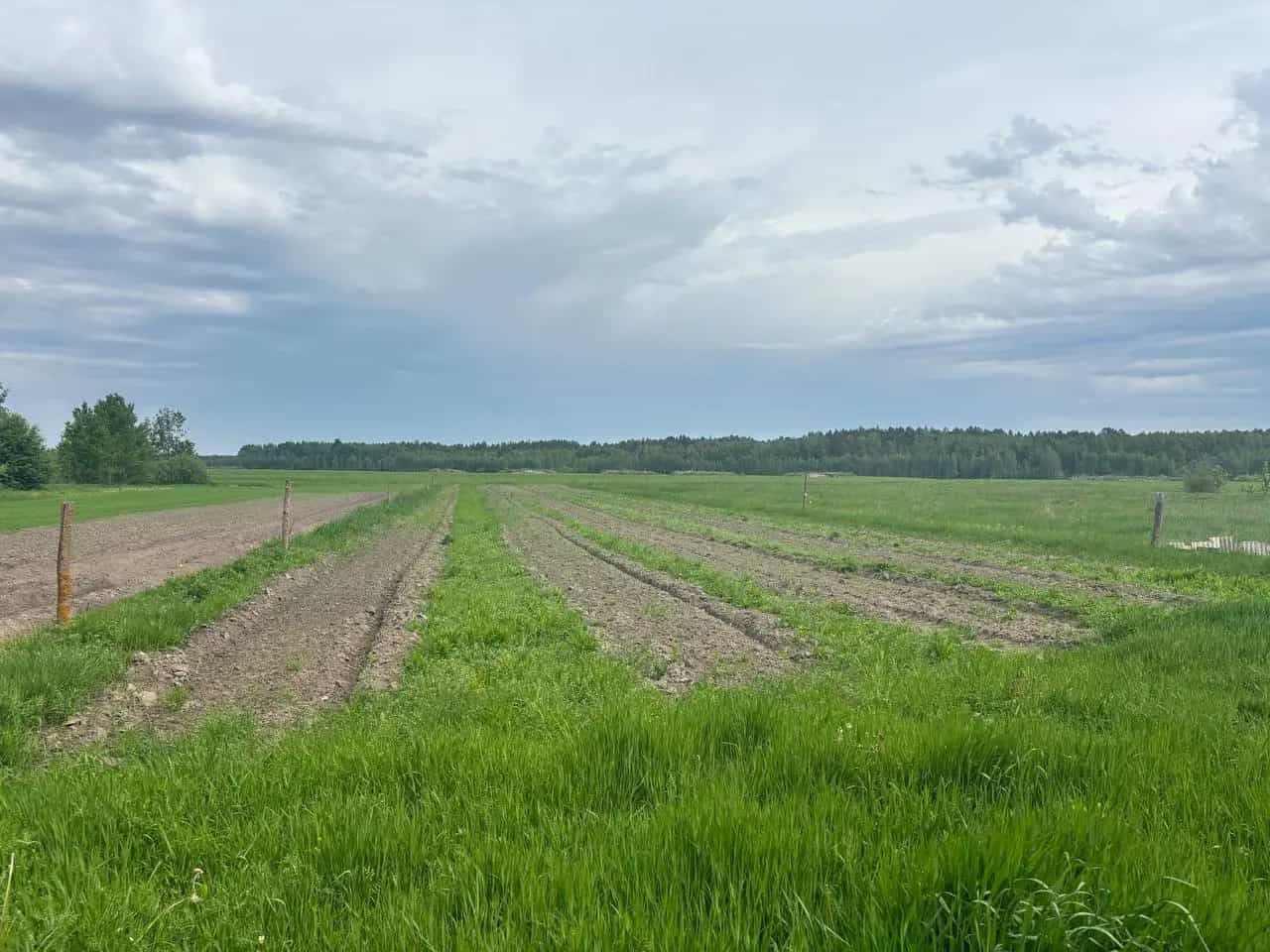 Беларусь, Гомельская область, Калинковичский район, агрогородок Малые Автюки, Речицкая улица, 52, фото 8