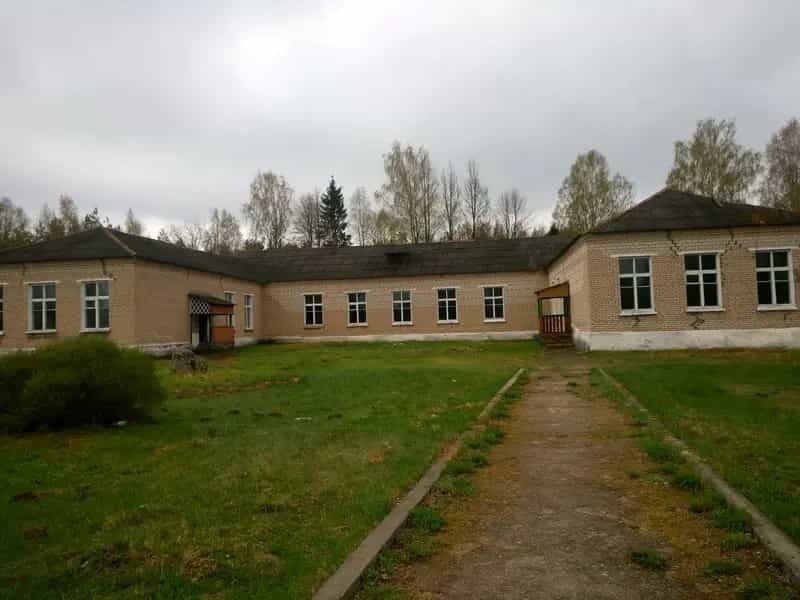 Беларусь, Минская область, Логойский район, Задорьевский сельсовет, деревня Избище, Школьная улица, 8