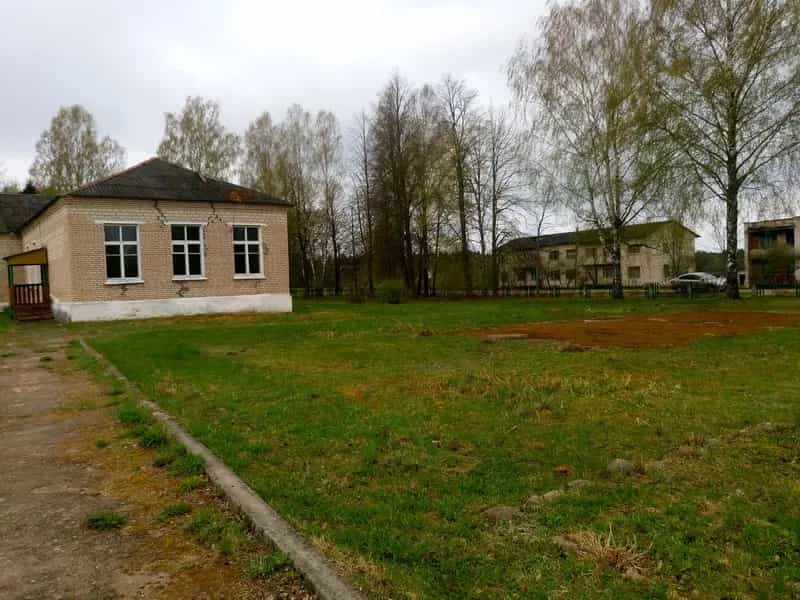 Беларусь, Минская область, Логойский район, Задорьевский сельсовет, деревня Избище, Школьная улица, 8, фото 3