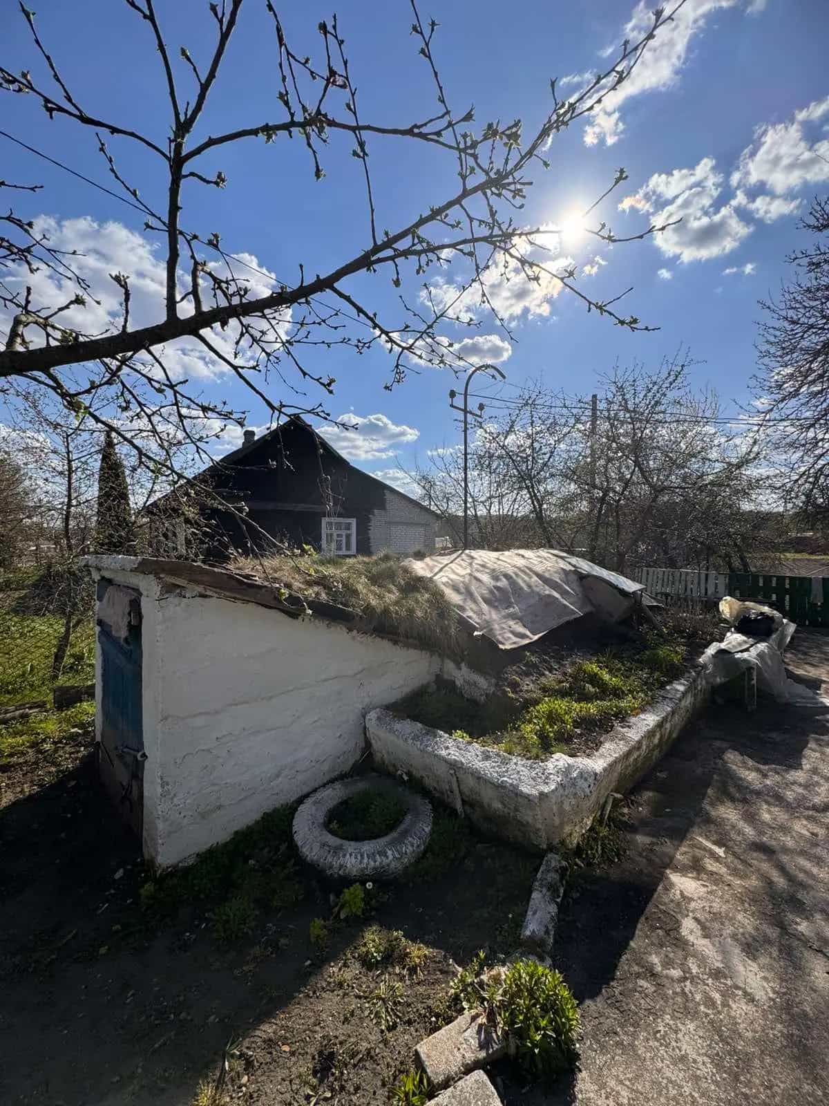Беларусь, Гродненская область, городской посёлок Зельва, улица Пушкина, 110, фото 12