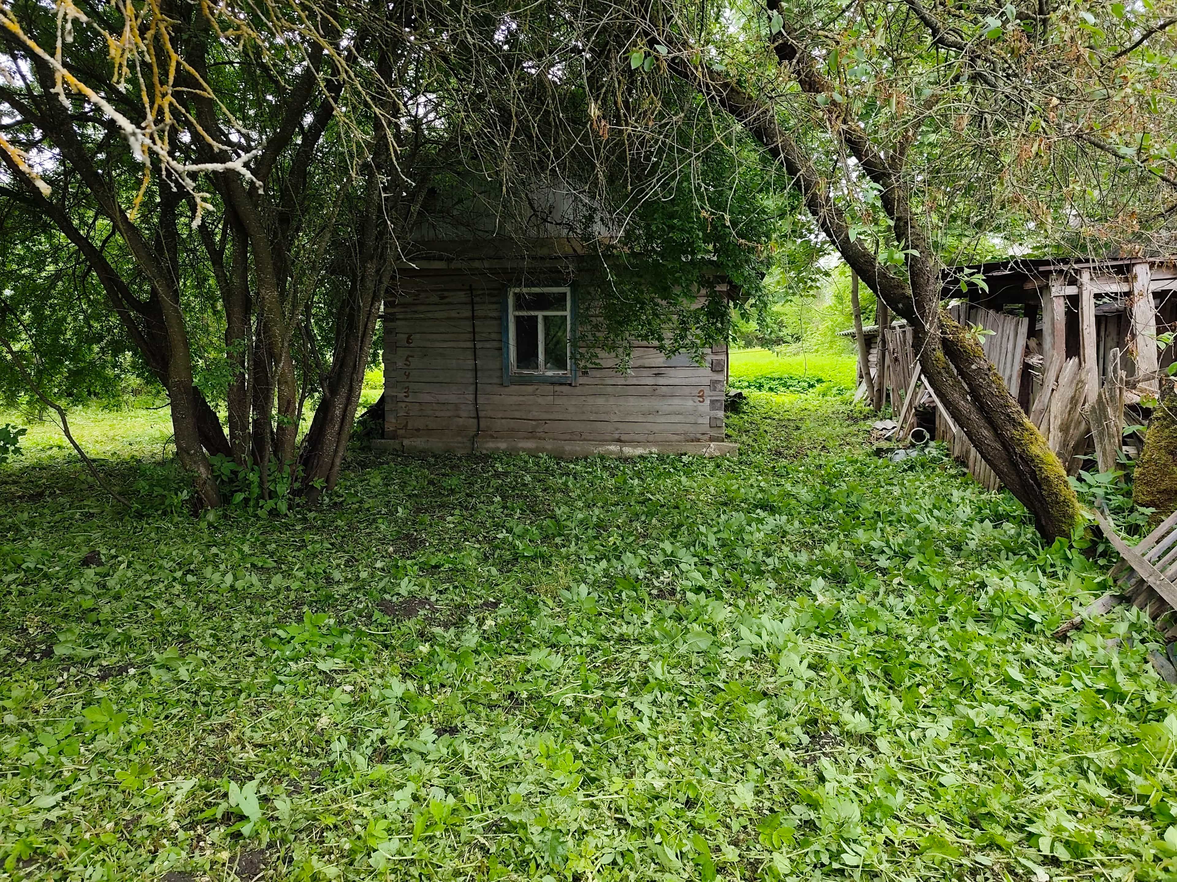 Беларусь, Витебская область, Шарковщинский район, Лужковский сельсовет, агрогородок Лужки, улица 17 Сентября, 8, фото 9