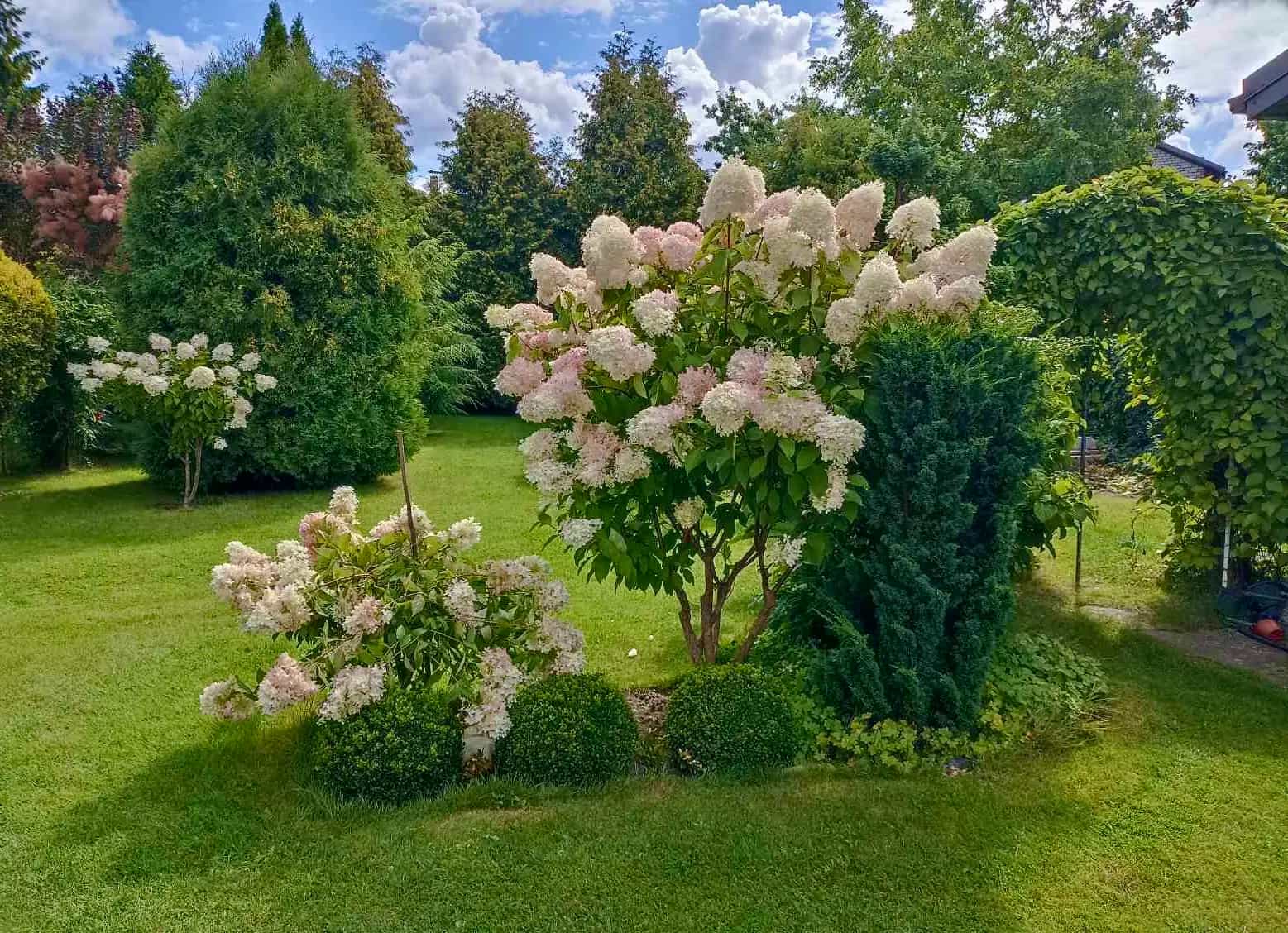Беларусь, Минский район, Заславль, Центральная улица, 33, фото 27