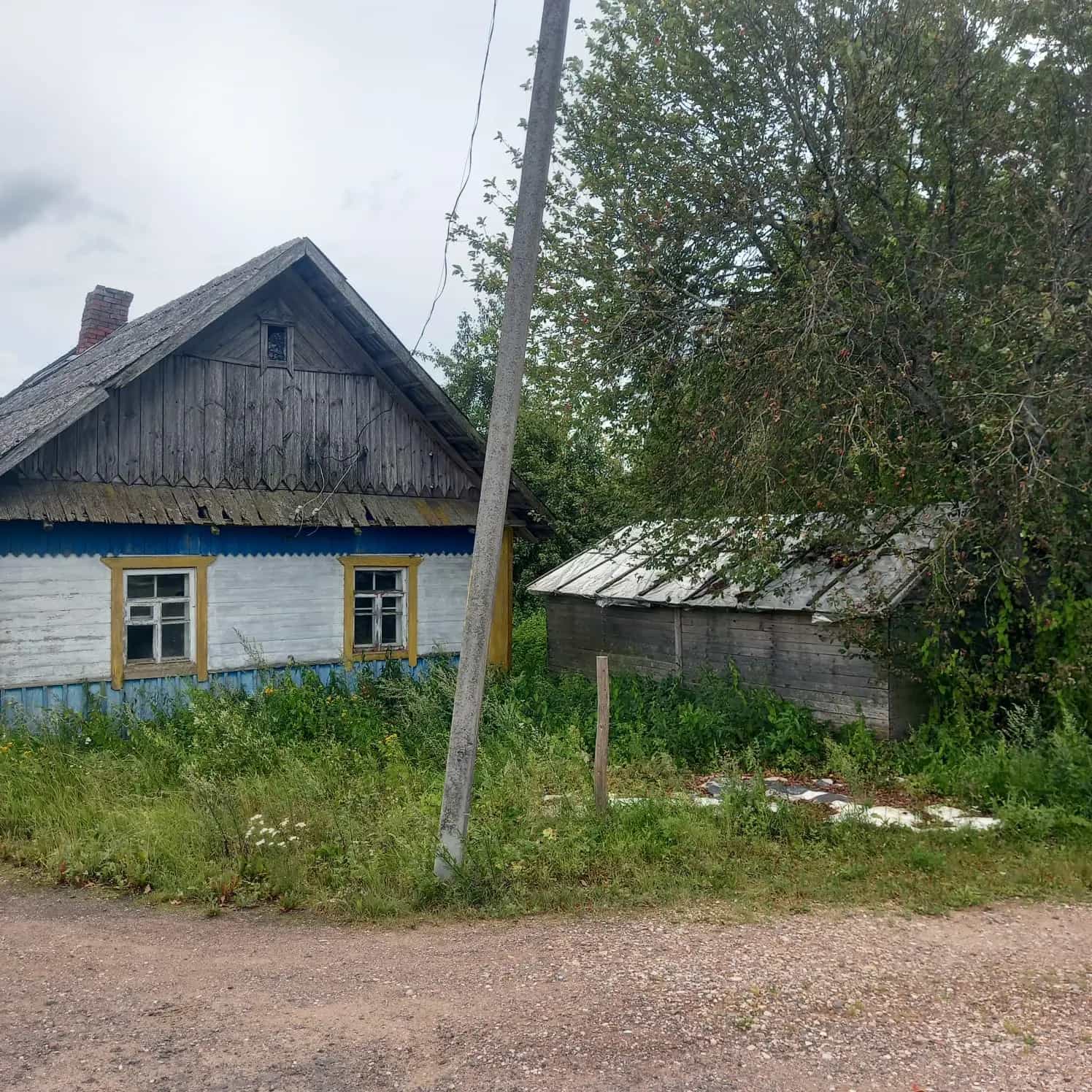 Беларусь, Минская область, Крупский район, Холопеничский сельсовет, деревня Посёмковичи, 24, фото 9