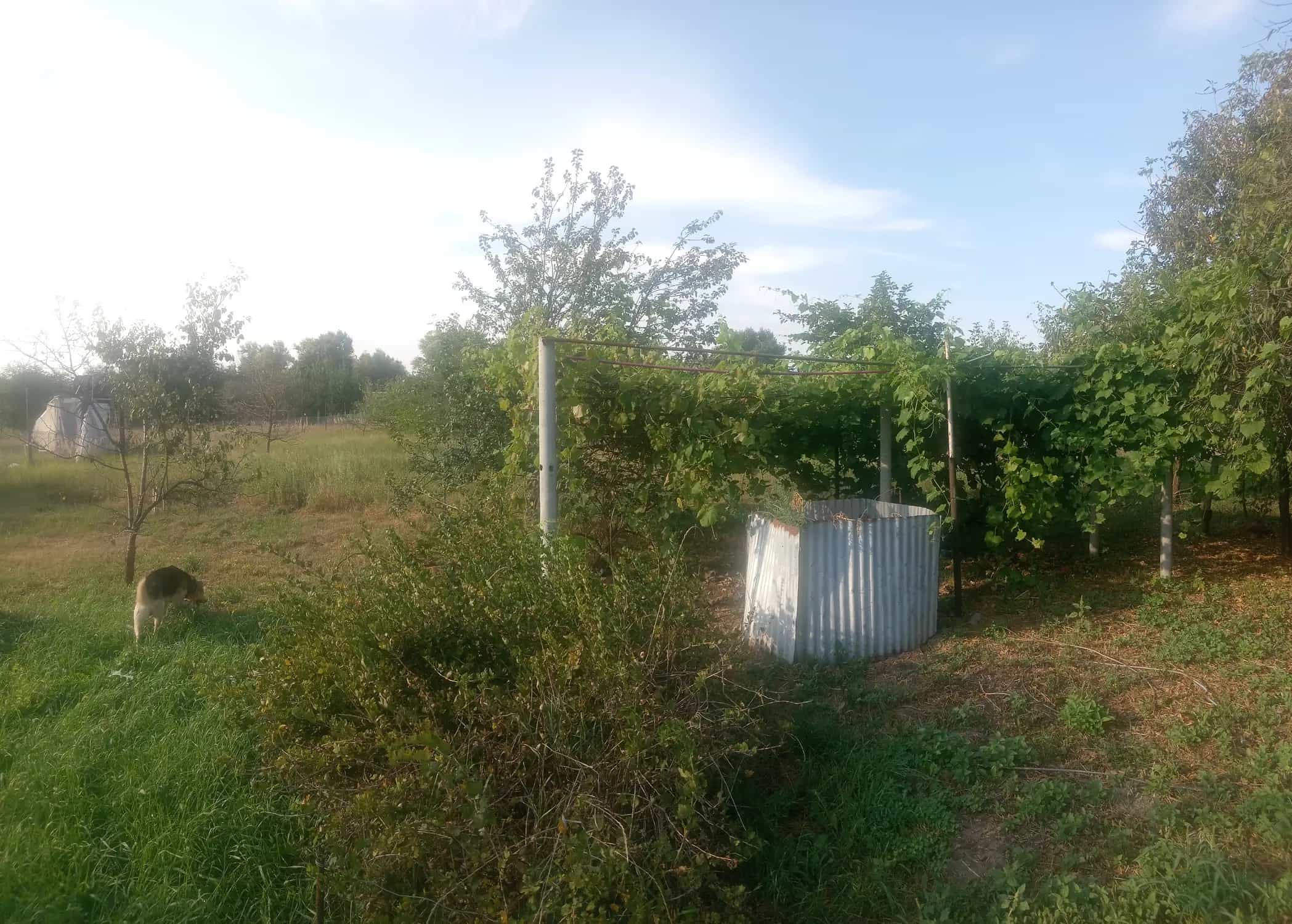Беларусь, Гомельский район, агрогородок Прибытки, Гвардейская улица, 13, фото 16
