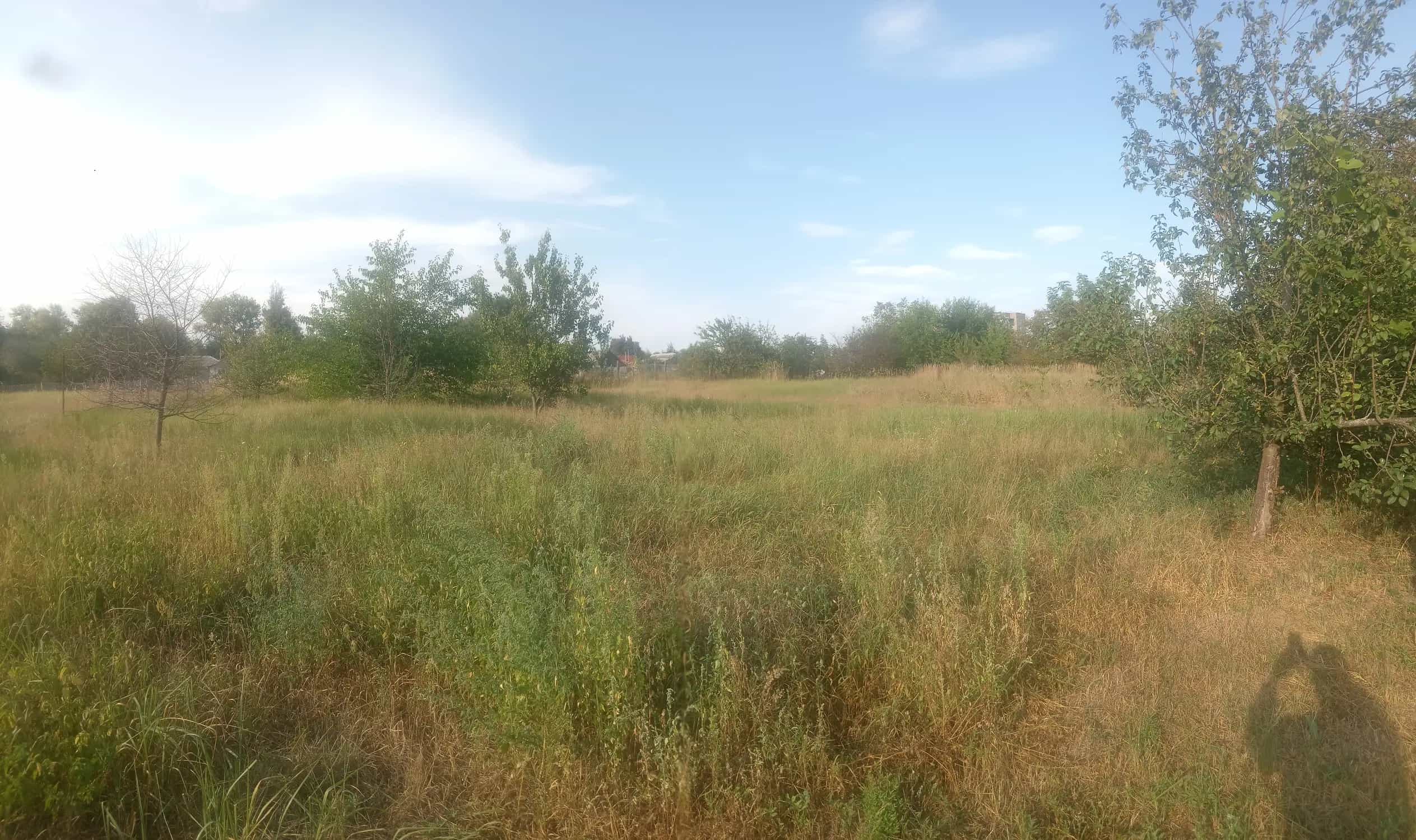 Беларусь, Гомельский район, агрогородок Прибытки, Гвардейская улица, 13, фото 17