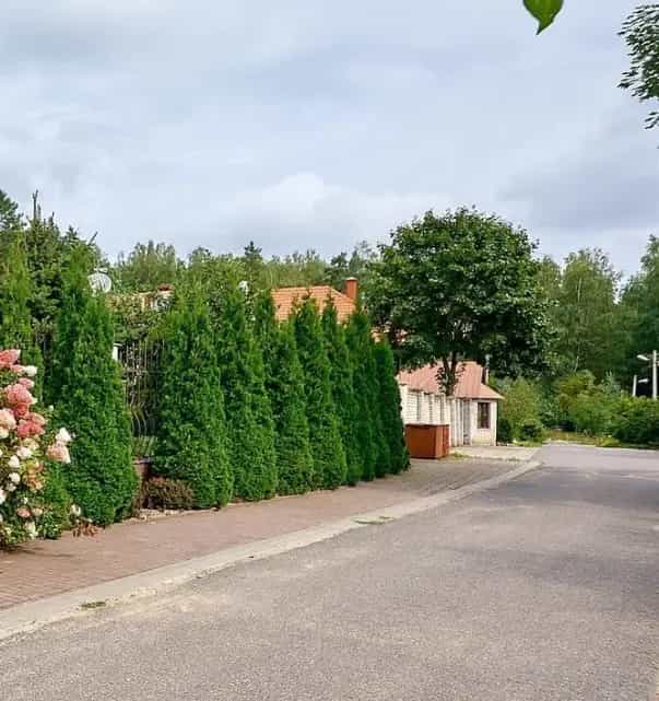 Беларусь, Минский район, агрогородок Ждановичи, 1-я Дачная улица, 21