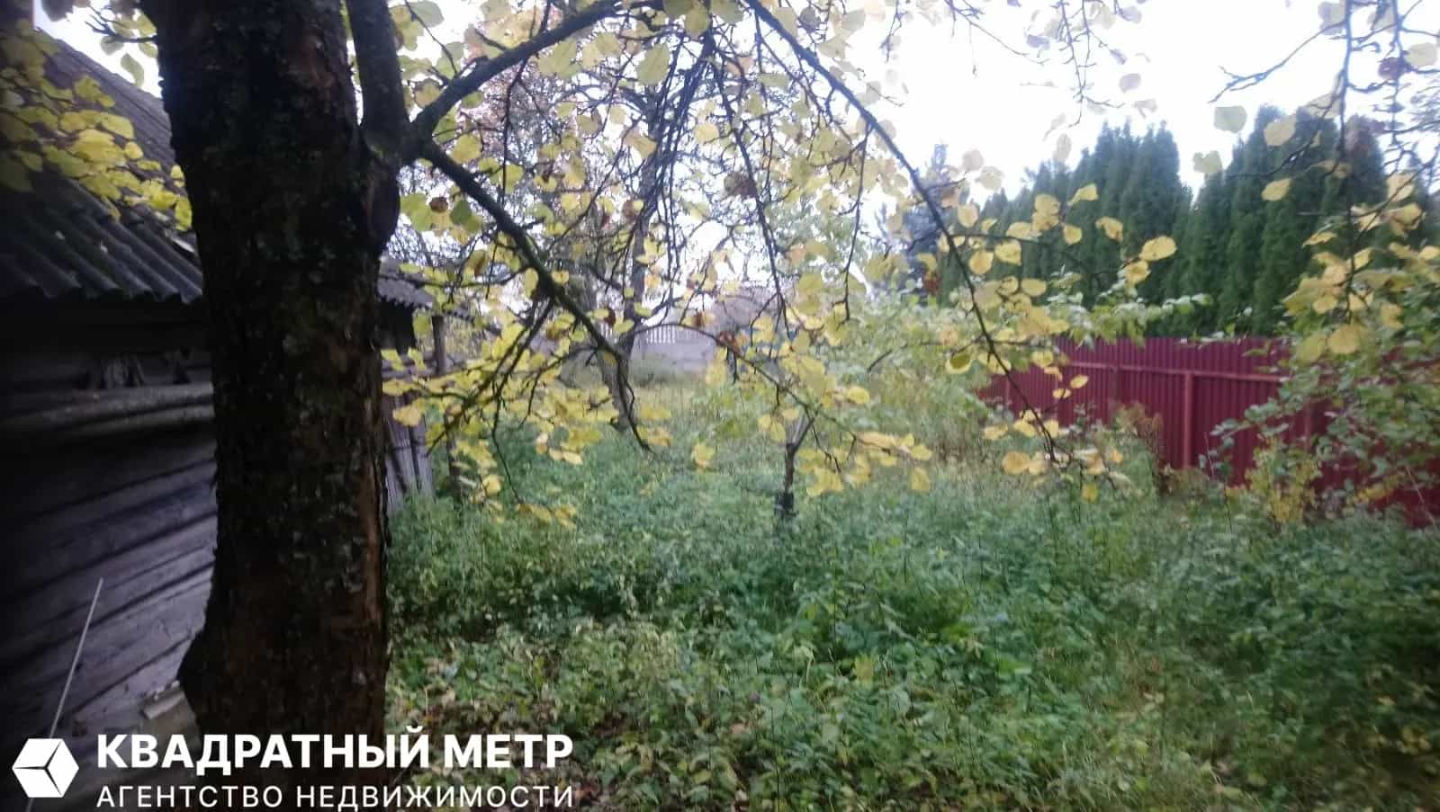 Беларусь, Минская область, Смолевичский район, Драчковский сельсовет, деревня Дехань, Центральная улица, 70, фото 12
