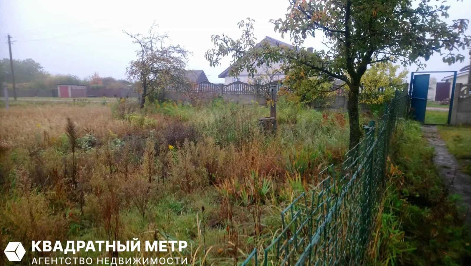 Беларусь, Минская область, Смолевичский район, Драчковский сельсовет, деревня Дехань, Центральная улица, 70, фото 16