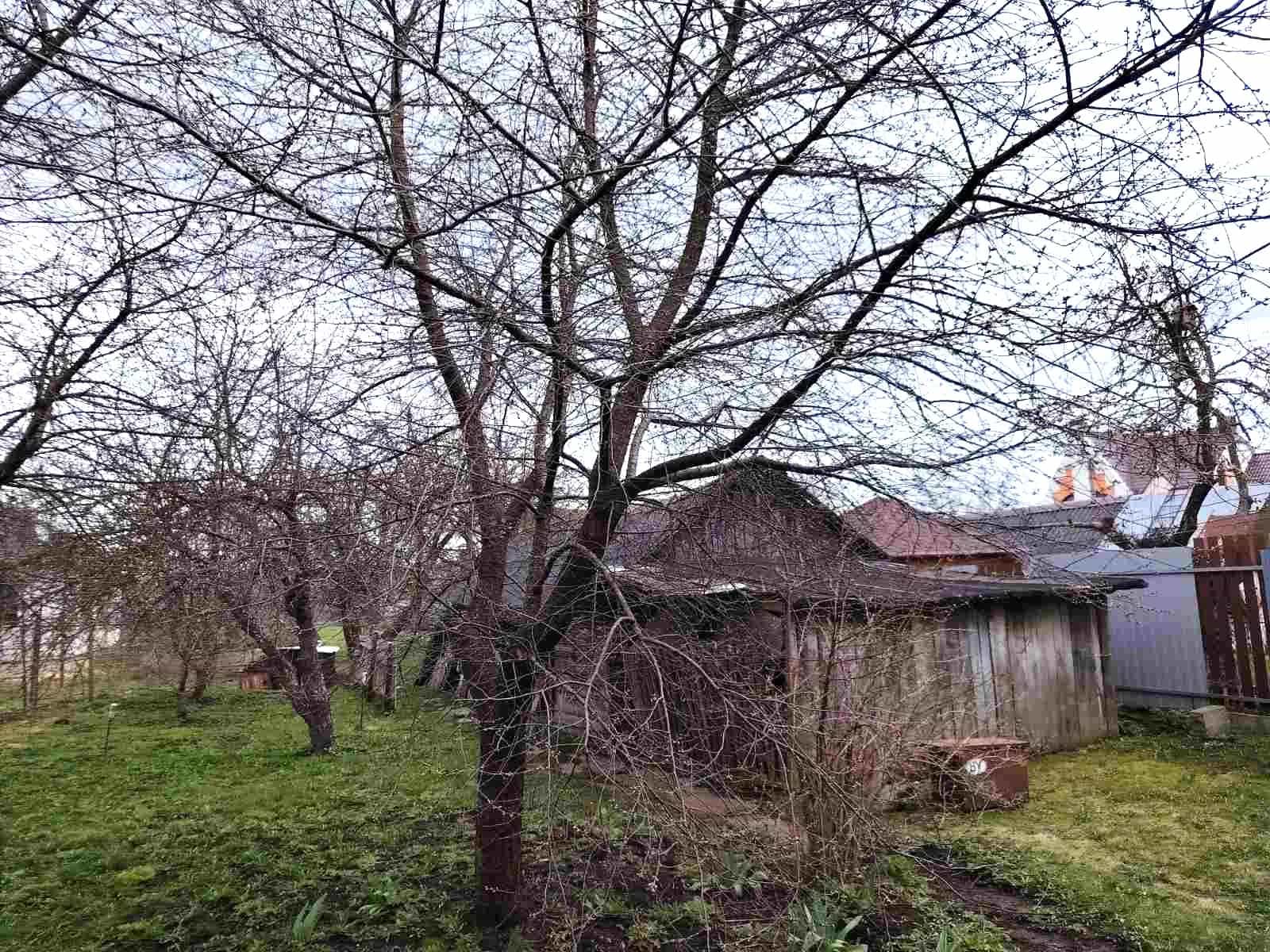 Беларусь, Минская область, Смолевичи, Советская улица, 117, фото 11