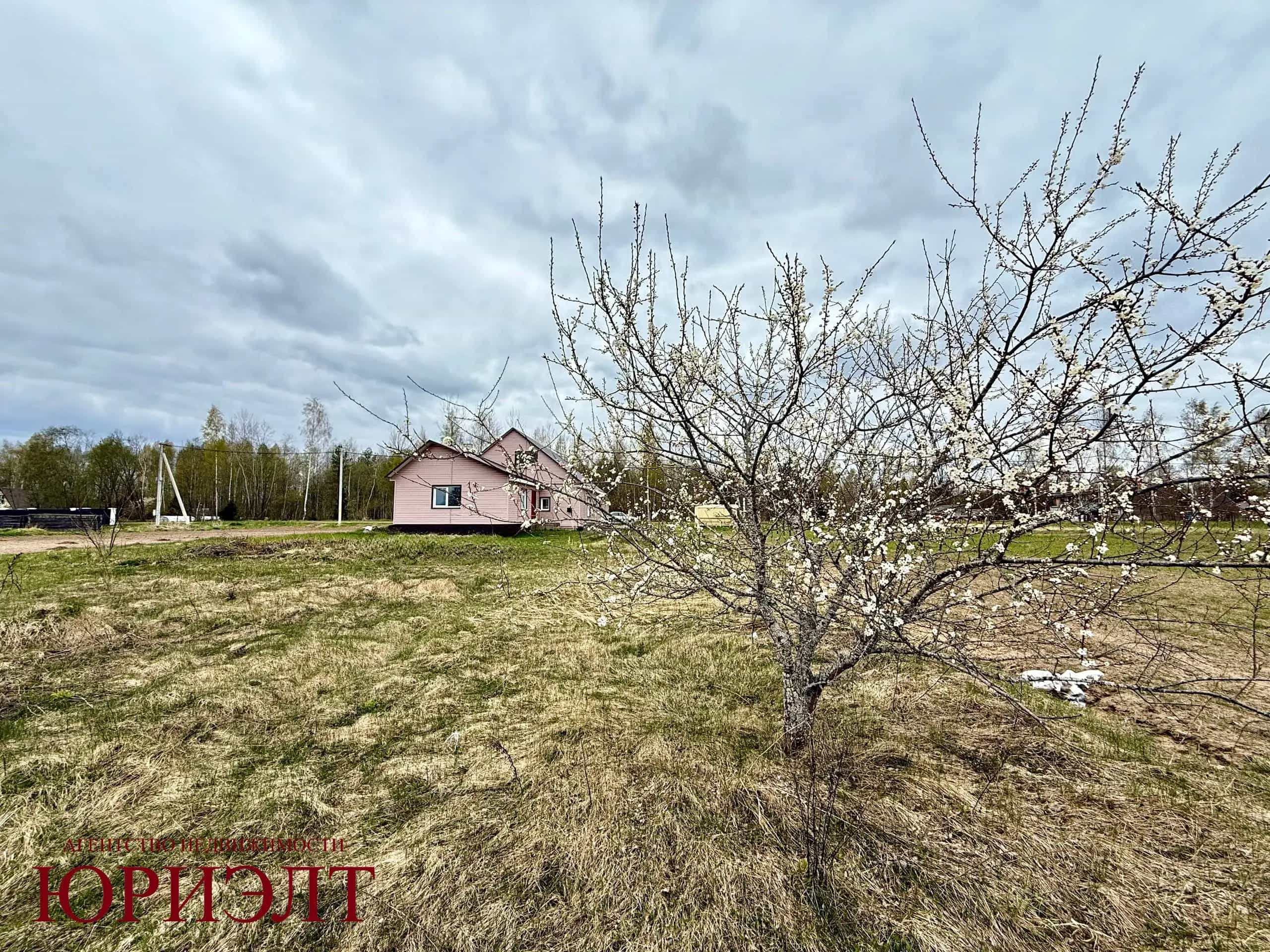 Беларусь, Витебская область, Полотовский сельсовет, деревня Скоброе, 29, фото 6