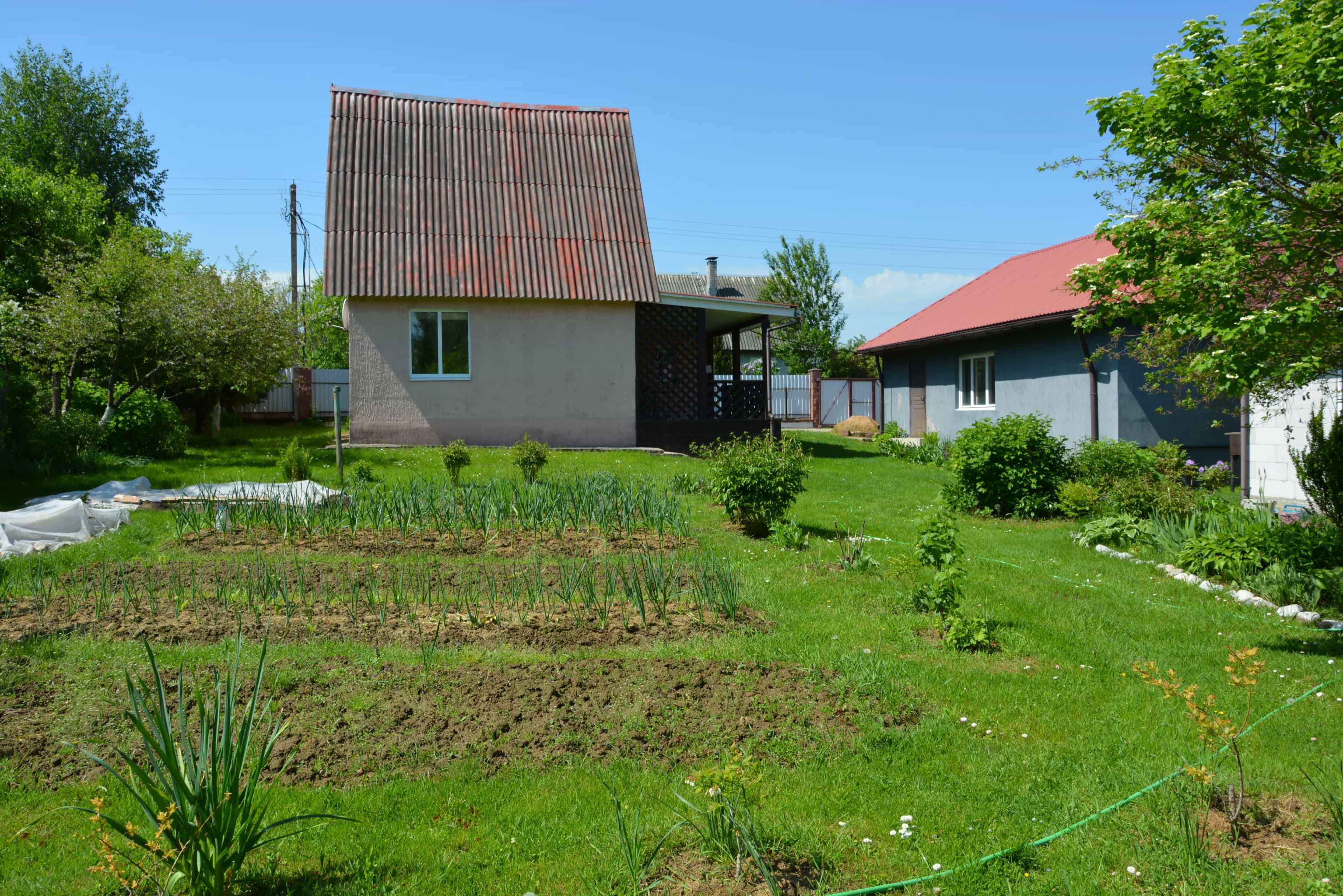 Беларусь, Минский район, Щомыслицкий сельсовет, СТ Цветущий Сад, 10, фото 40