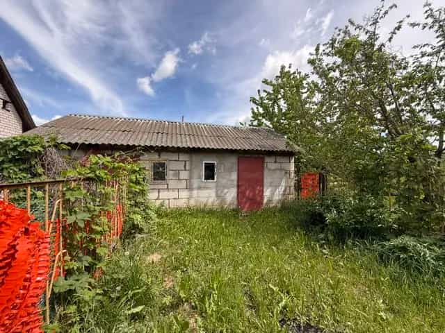 Беларусь, Витебская область, Оршанский район, деревня Андреевщина, Новая улица, 9, фото 13