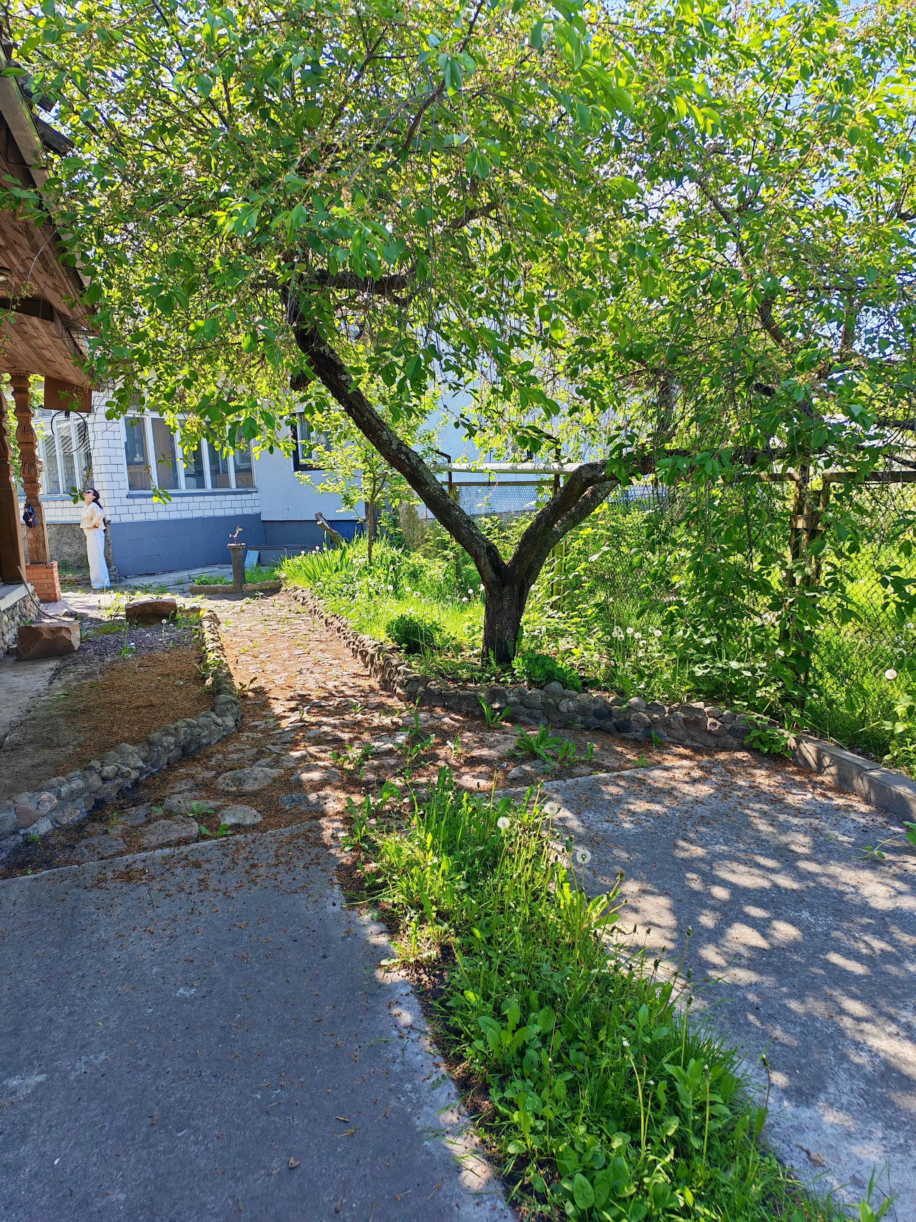 Беларусь, Гомель, Речной переулок, 50А, фото 3