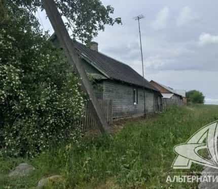 Беларусь, Брестская область, Каменецкий район, Видомлянский сельсовет, деревня Лешанка, 13, фото 6