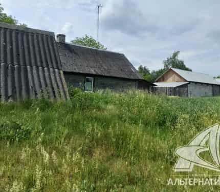 Беларусь, Брестская область, Каменецкий район, Видомлянский сельсовет, деревня Лешанка, 13, фото 7