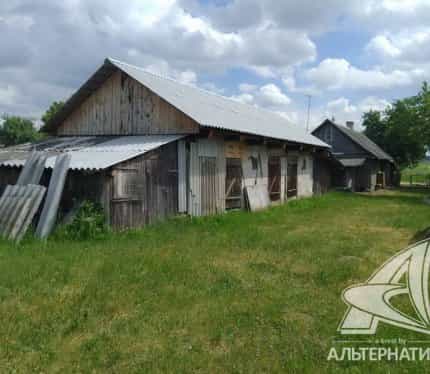 Беларусь, Брестская область, Каменецкий район, Видомлянский сельсовет, деревня Лешанка, 13, фото 8
