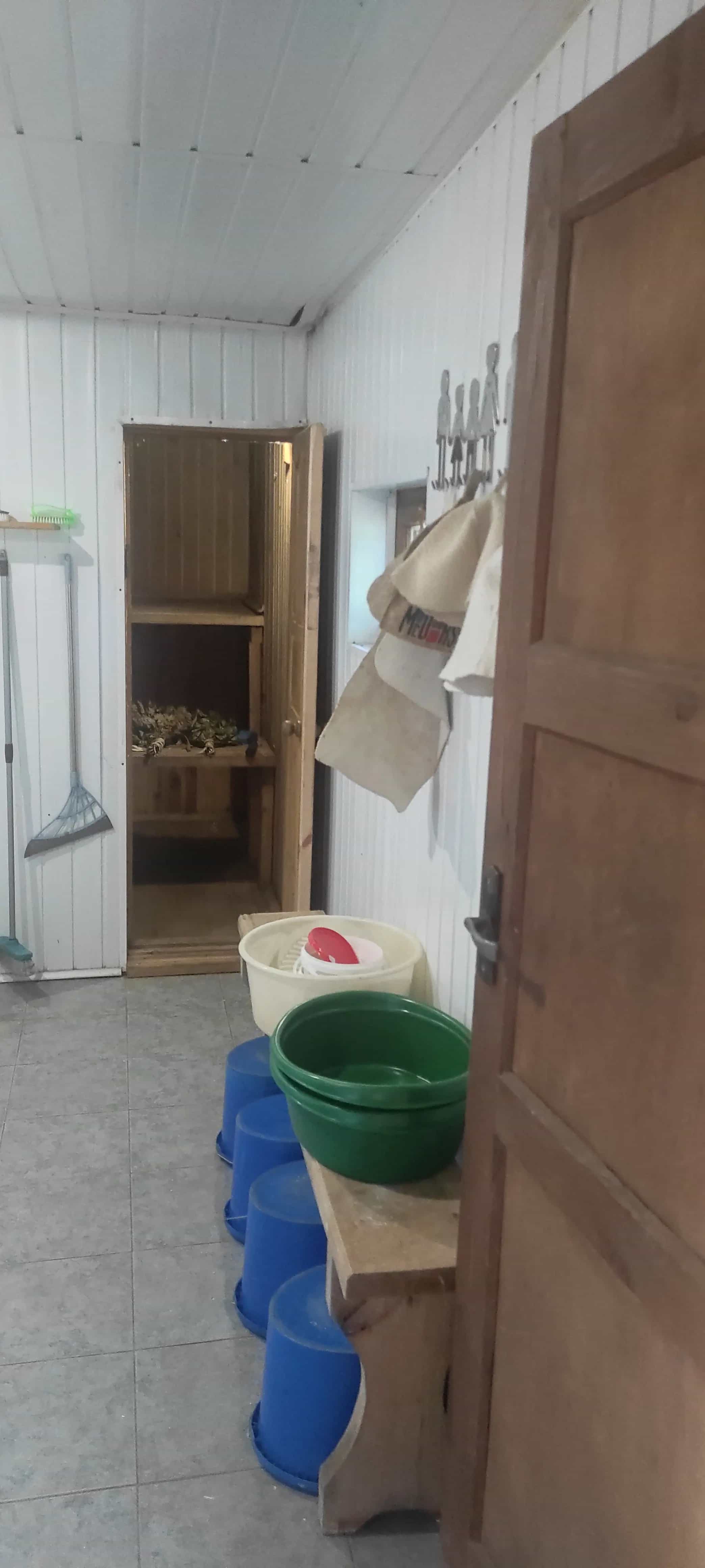 Беларусь, Могилёвская область, Осиповичский район, агрогородок Липень, улица Калинина, 6, фото 15