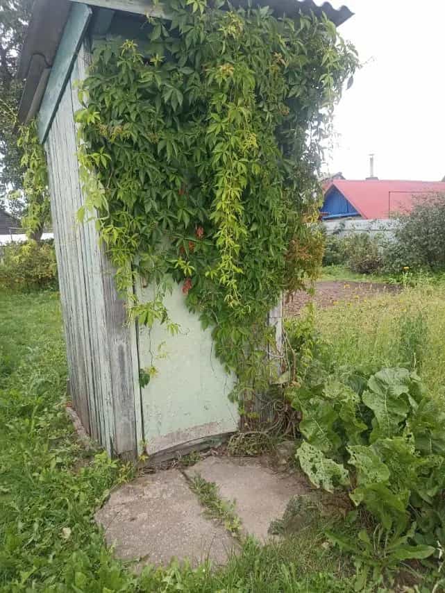 Беларусь, Витебск, 4-я Стадионная улица, 29, фото 3