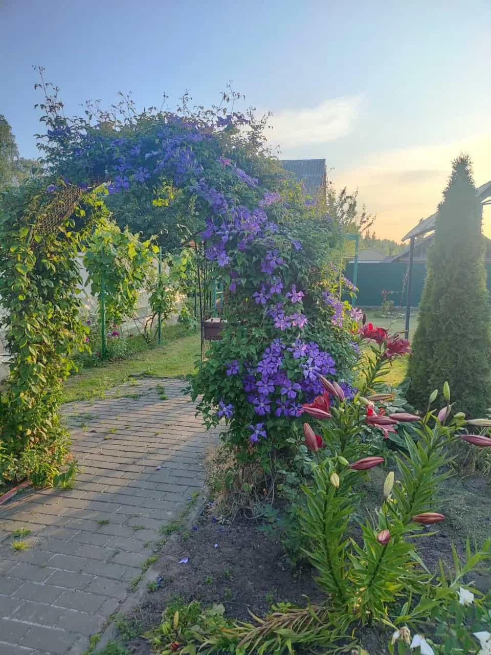 Беларусь, Гомельская область, Рогачёв, улица Николая Потеева, 3, фото 18