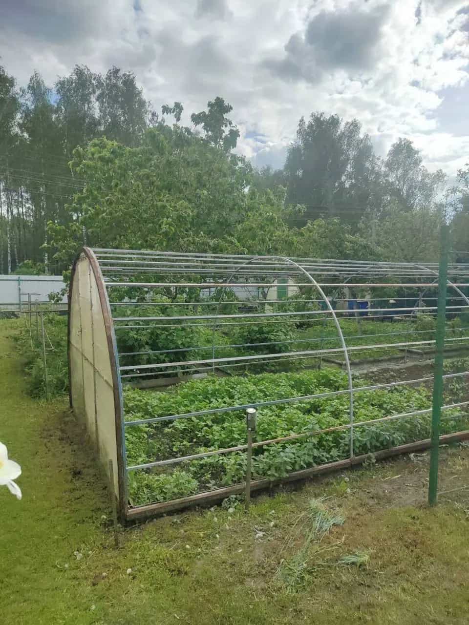 Беларусь, Гомельская область, Рогачёв, улица Николая Потеева, 3, фото 20