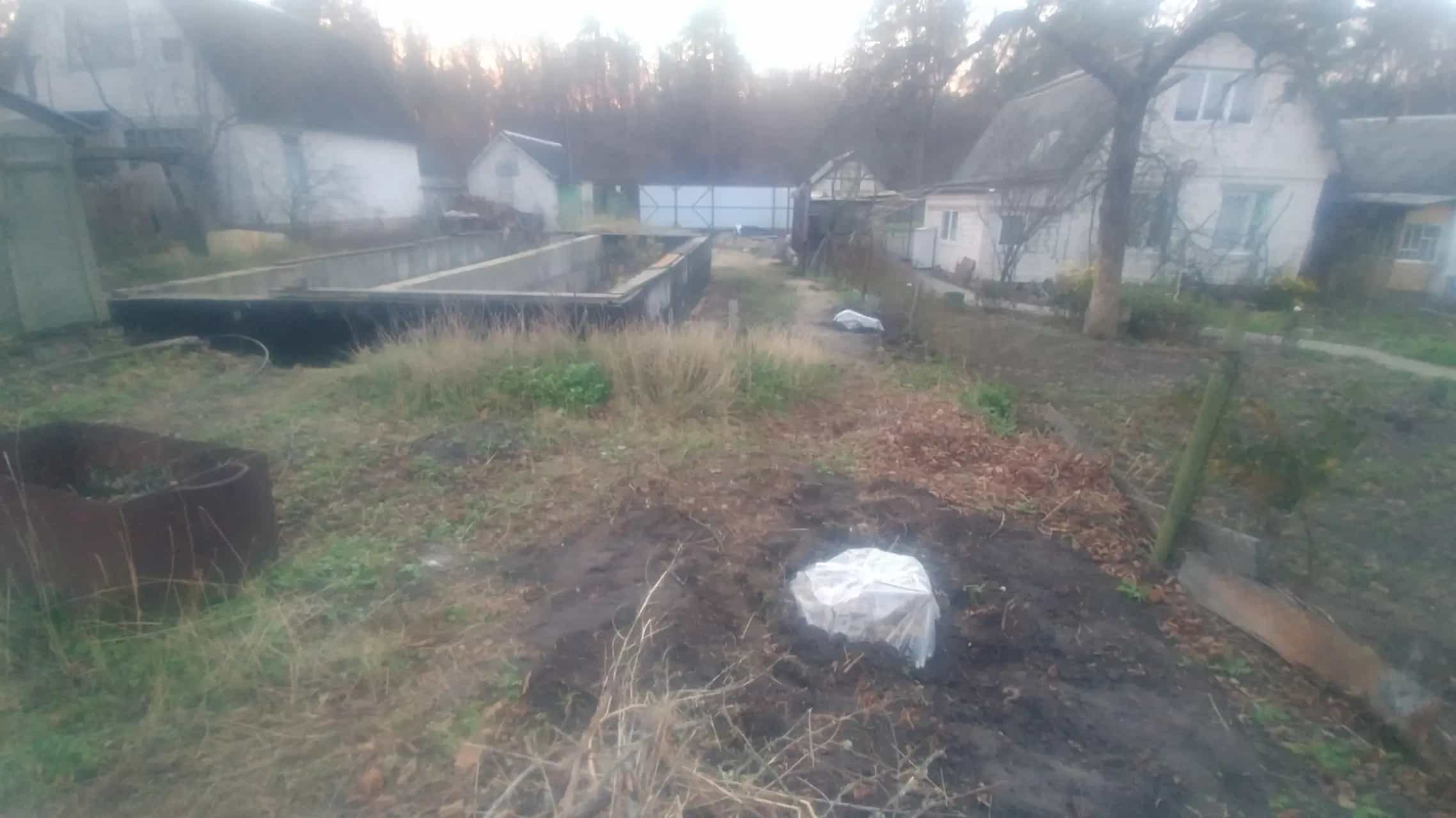 Беларусь, Гомельский район, Зябровский сельсовет, СТ Лисички, 17, фото 2