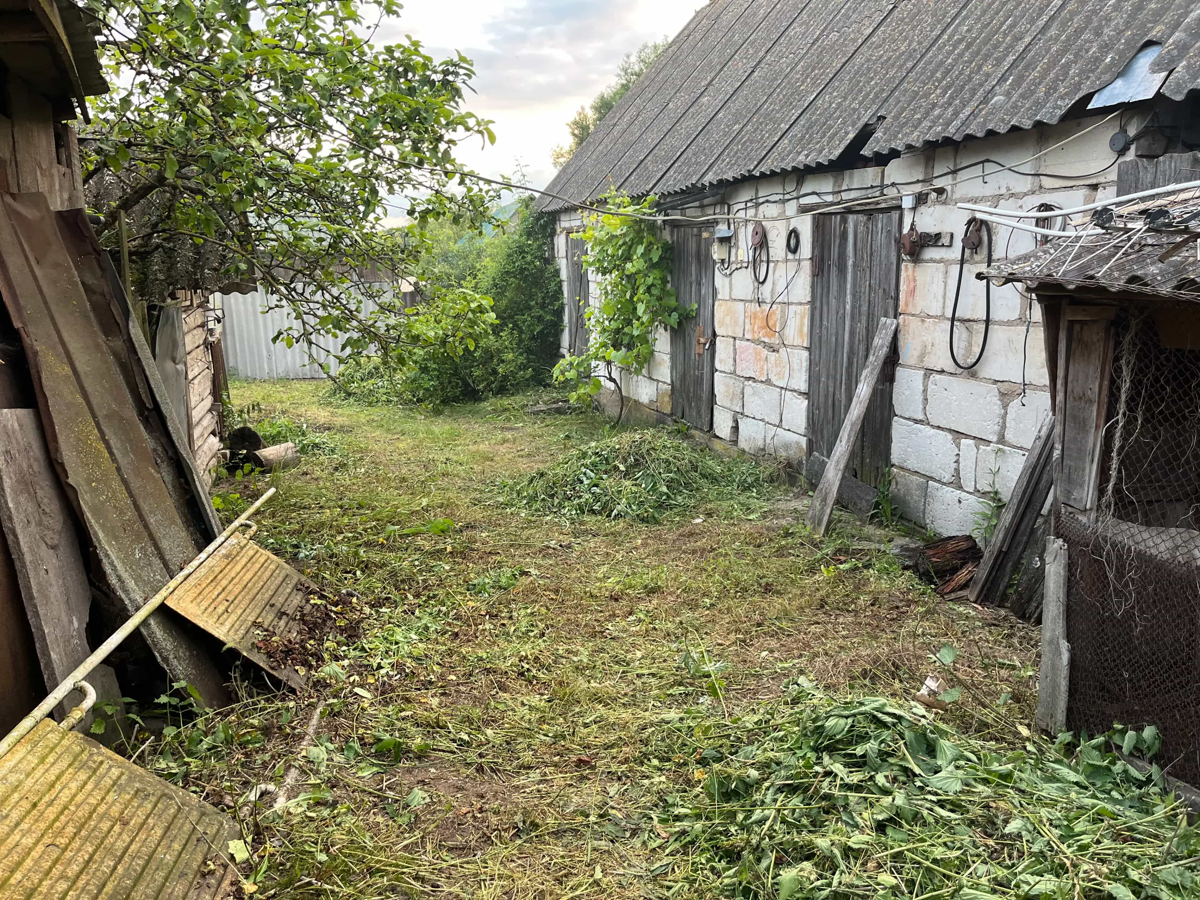 Беларусь, Минская область, Узденский сельсовет, деревня Низок, Молодёжная улица, 7, фото 18