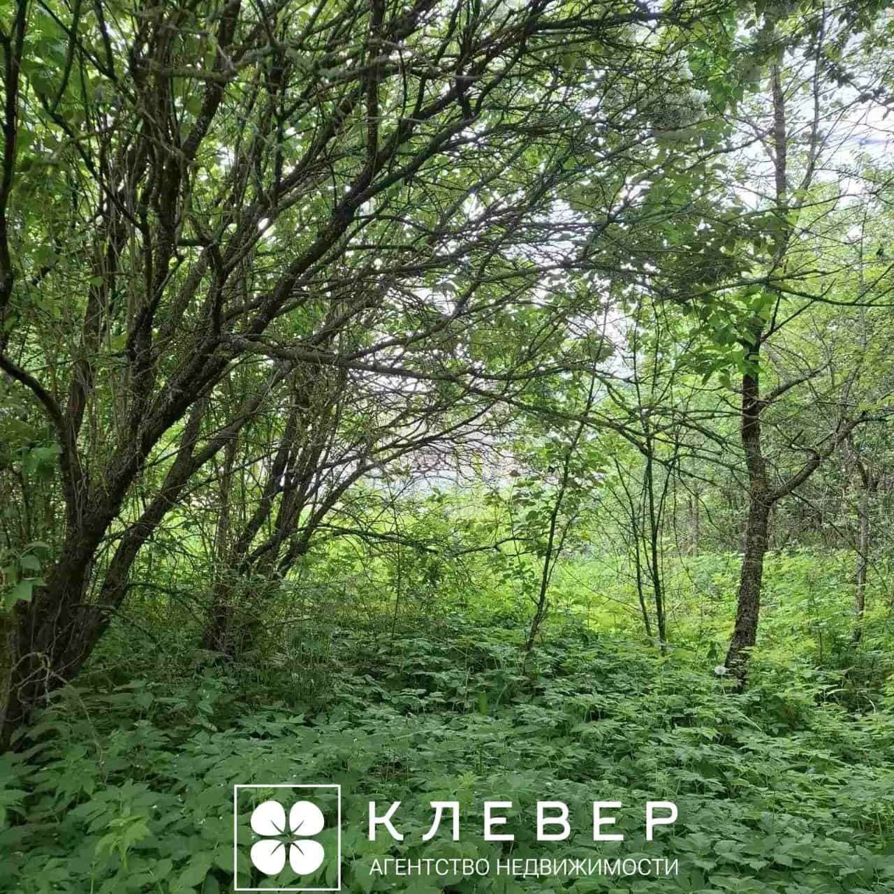 Беларусь, Минская область, Узденский район, Дещенский сельсовет, агрогородок Дещенка, Центральная улица, 17, фото 4