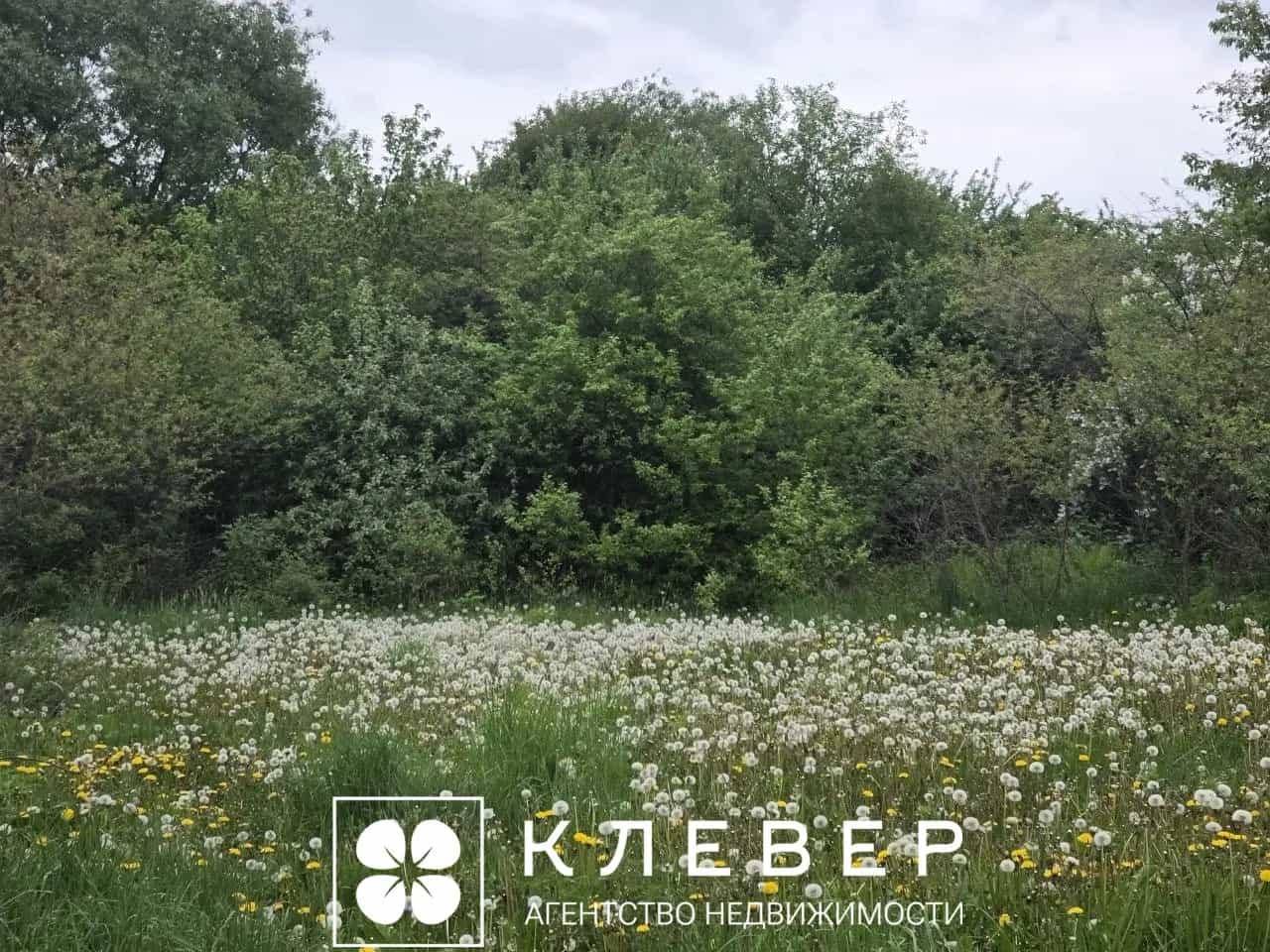 Беларусь, Минская область, Узденский район, Дещенский сельсовет, агрогородок Дещенка, Центральная улица, 17, фото 24