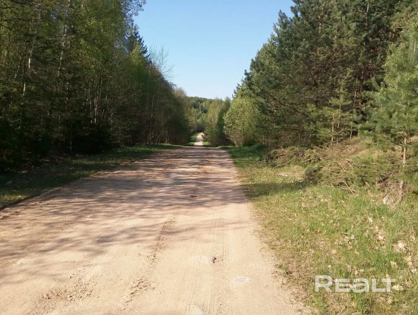 Беларусь, Минская область, Логойский район, Октябрьский сельсовет, деревня Городище, 2, фото 14