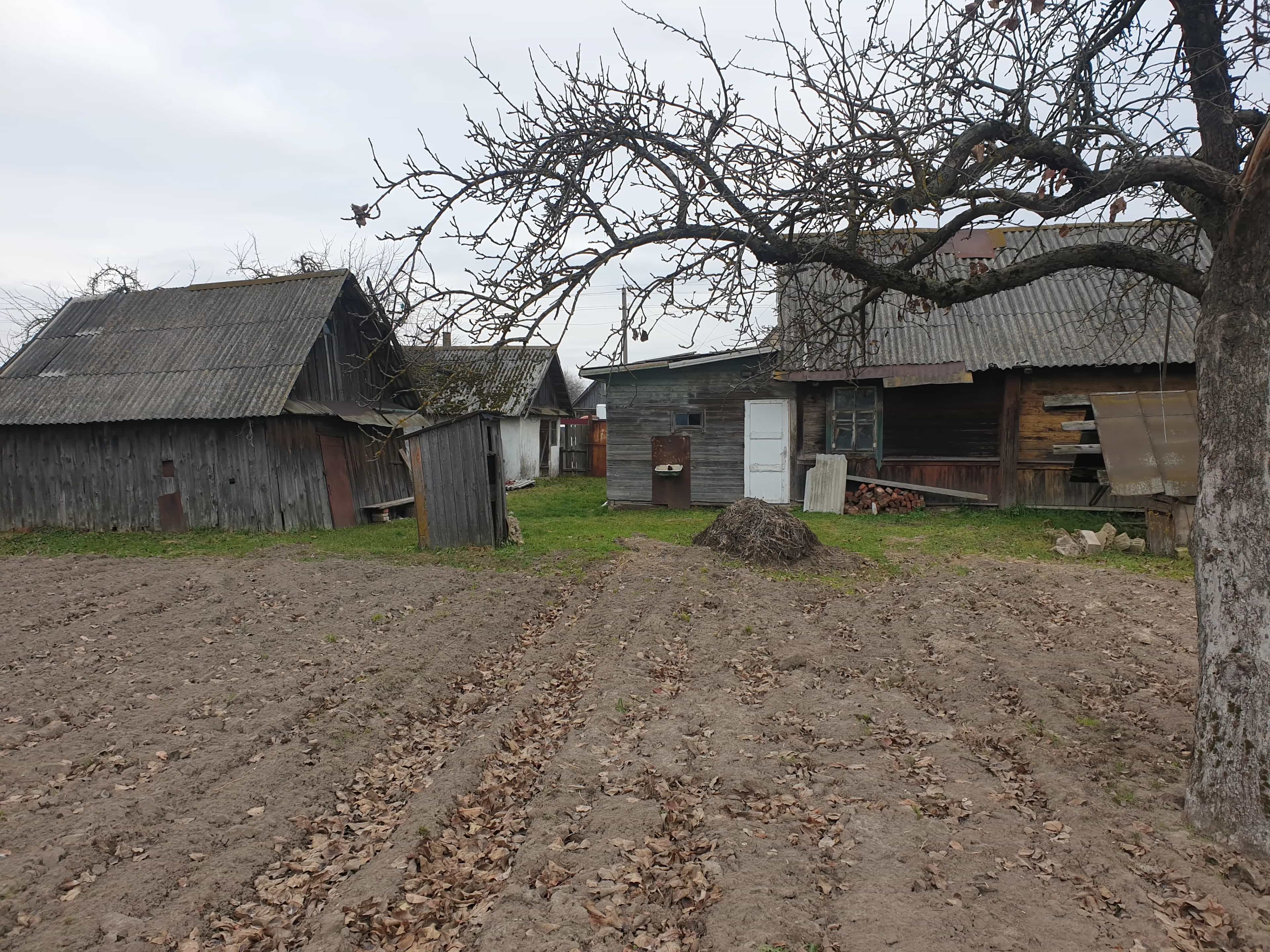 Беларусь, Могилёвская область, Кировск, Старосельская улица, 14, фото 2