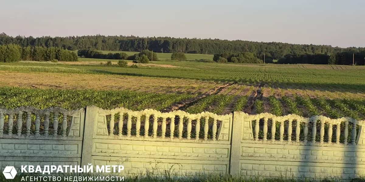 Беларусь, Минская область, Узденский район, Дещенский сельсовет, деревня Теляково, Зелёная улица, 12, фото 4