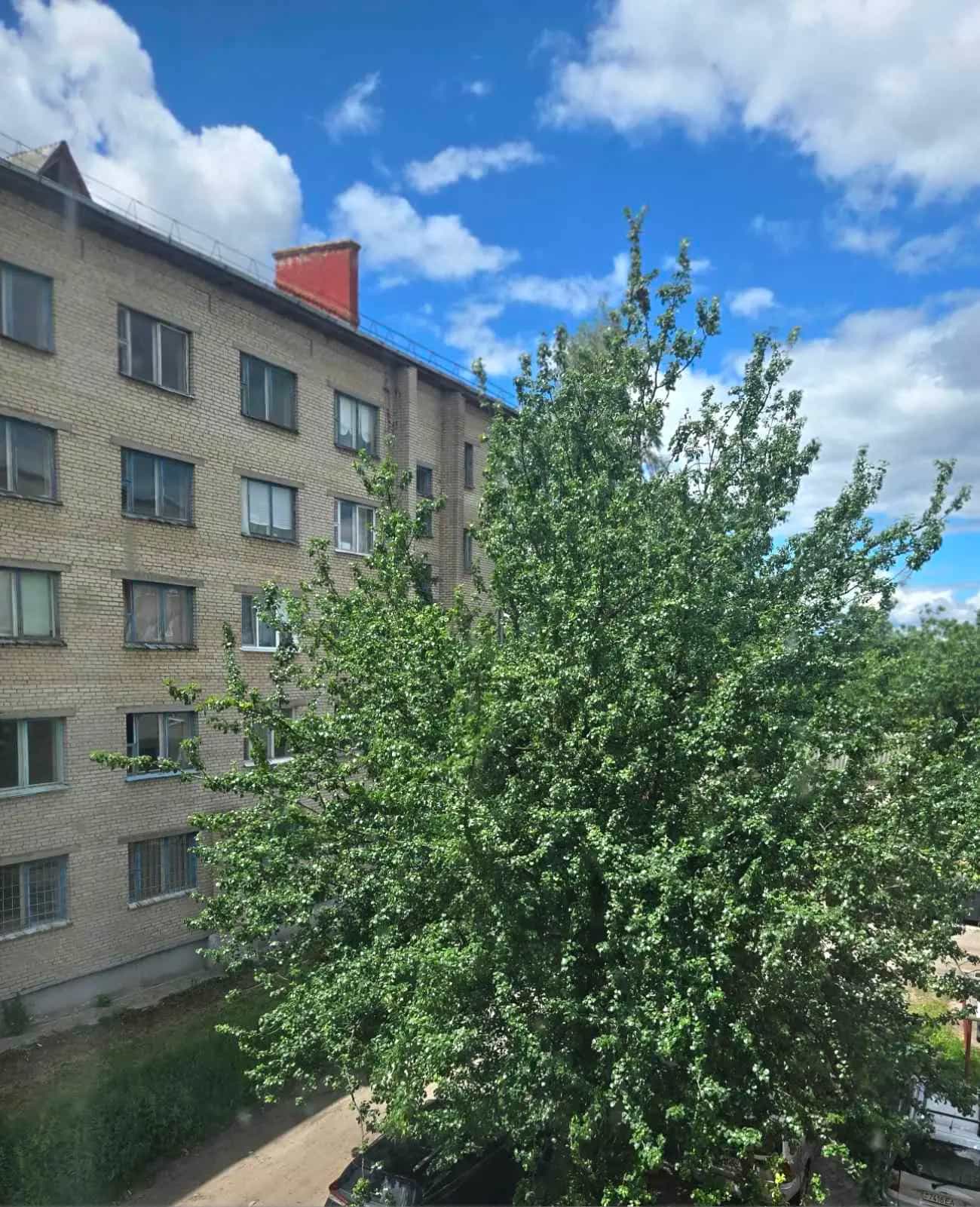 Беларусь, Гомельская область, Мозырь, Пролетарская улица, 62, фото 14