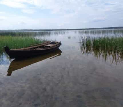 Беларусь, Витебская область, Лепельский район, Стайский сельсовет, деревня Оконо, Заречная улица, 25, фото 18