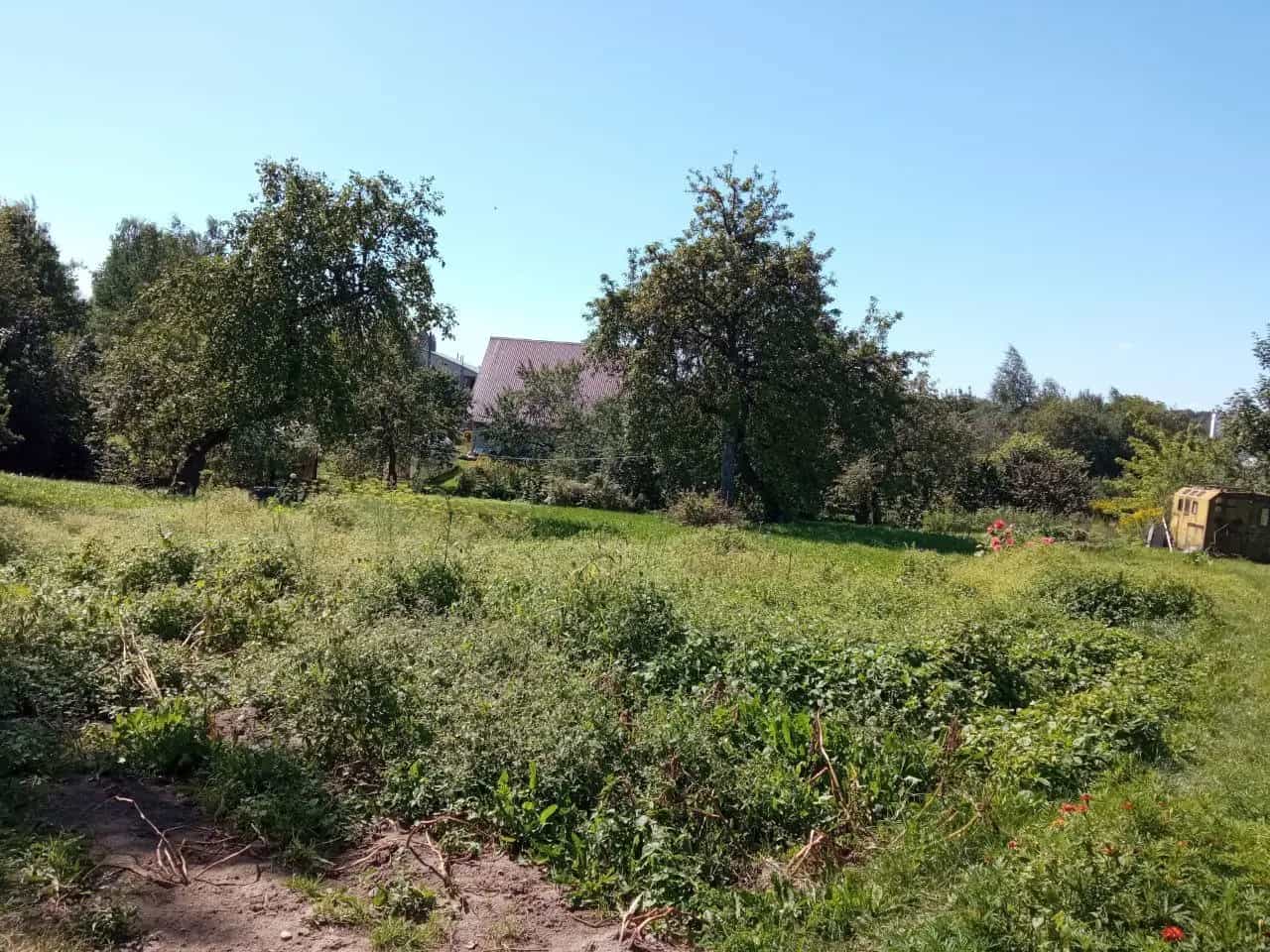 Беларусь, Минский район, агрогородок Колодищи, улица Мичурина, 5, фото 7