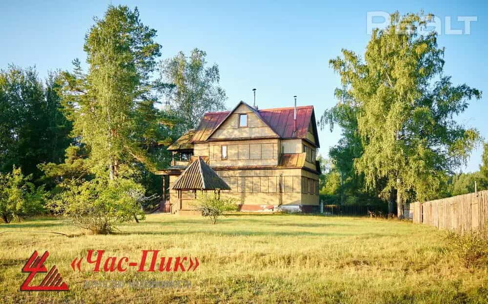 Беларусь, Витебская область, Лепельский район, Домжерицкий сельсовет, деревня Волова Гора, 18, фото 3