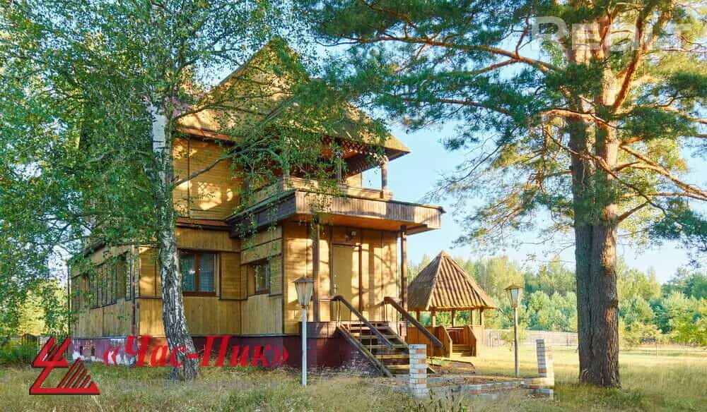 Беларусь, Витебская область, Лепельский район, Домжерицкий сельсовет, деревня Волова Гора, 18, фото 12