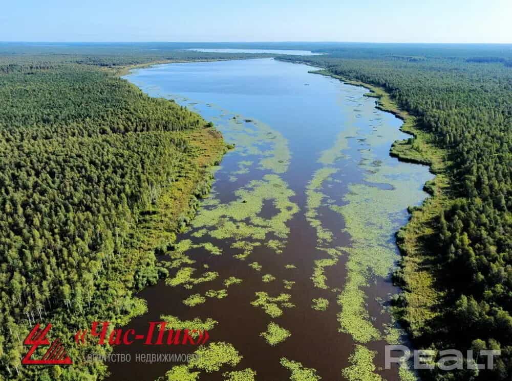 Беларусь, Витебская область, Лепельский район, Домжерицкий сельсовет, деревня Волова Гора, 18, фото 38