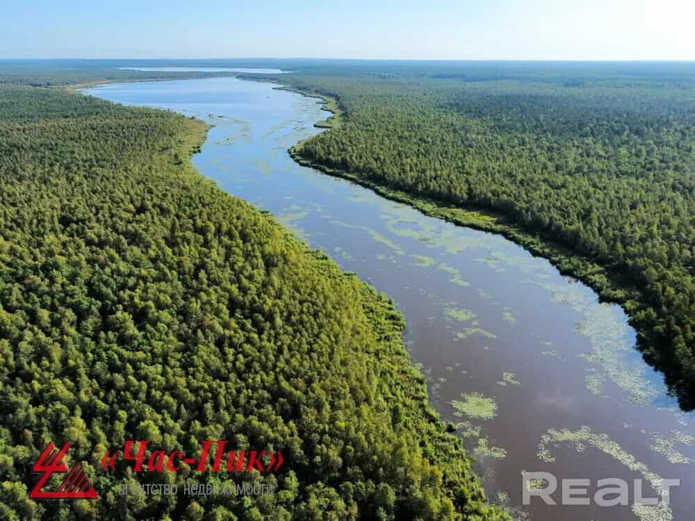 Беларусь, Витебская область, Лепельский район, Домжерицкий сельсовет, деревня Волова Гора, 18, фото 40
